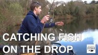 How do I catch fish “On the Drop”?