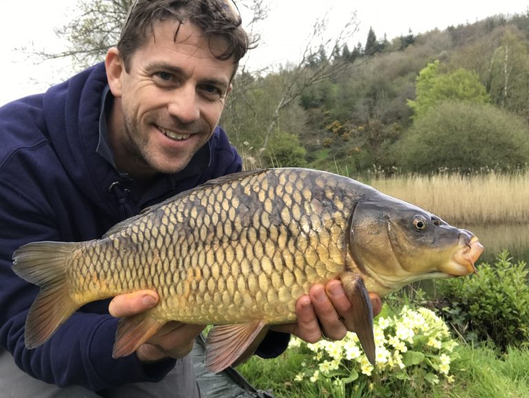 The School of Fish - Spring fun with a little common carp
