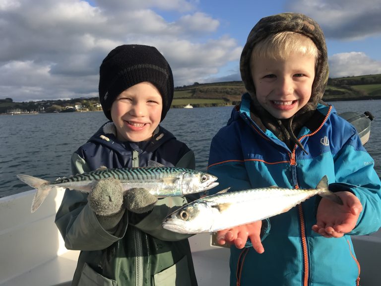 Winter Mackerel Fishinhg with The School Of Fish