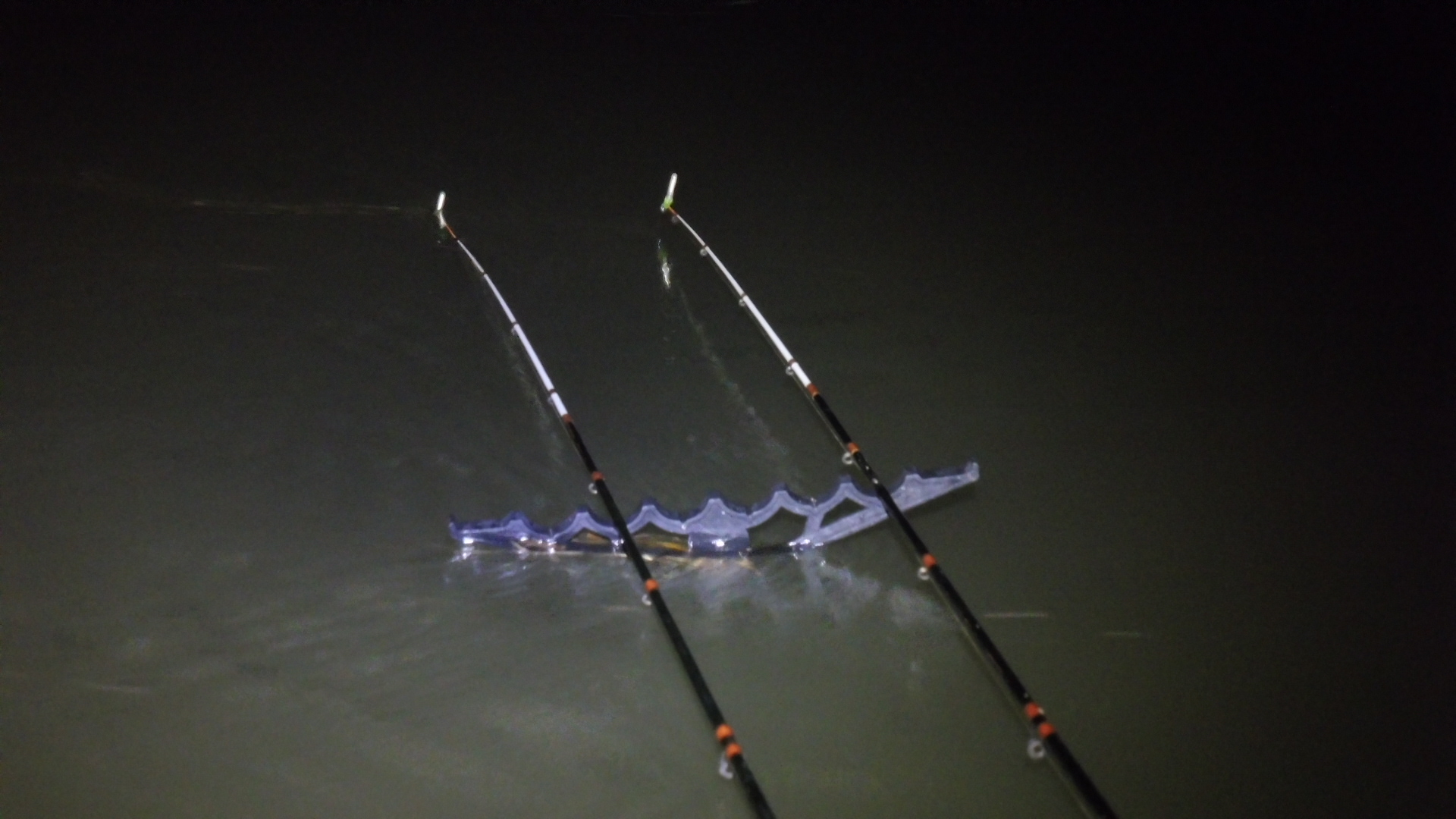Cold, dark, winter, night fishing for Mullet