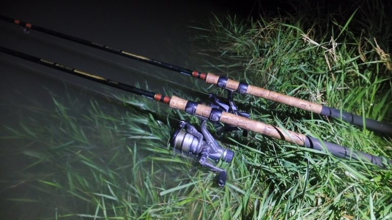 Cold, dark, winter, night fishing for Mullet