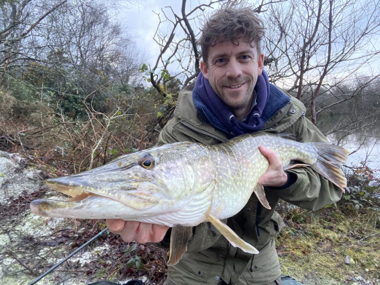 The School of Fish - Pike fishing