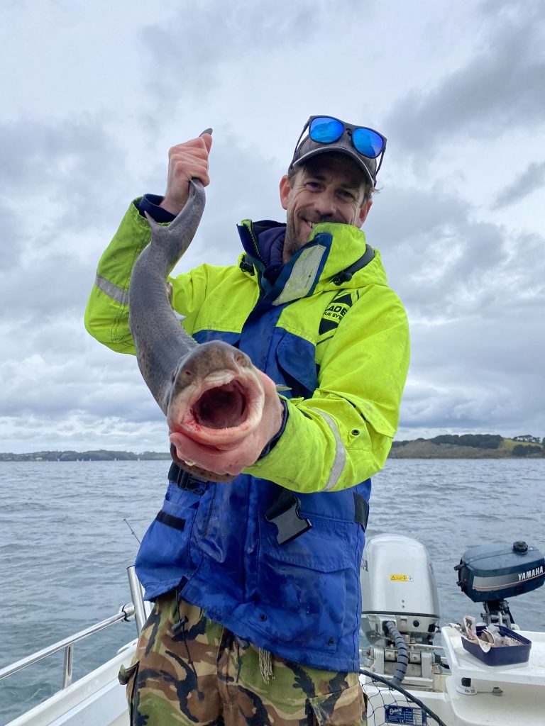 Boat fishing for Bull Huss with The School Of Fish