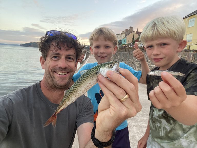 Mackerel Fishing with The School of Fish