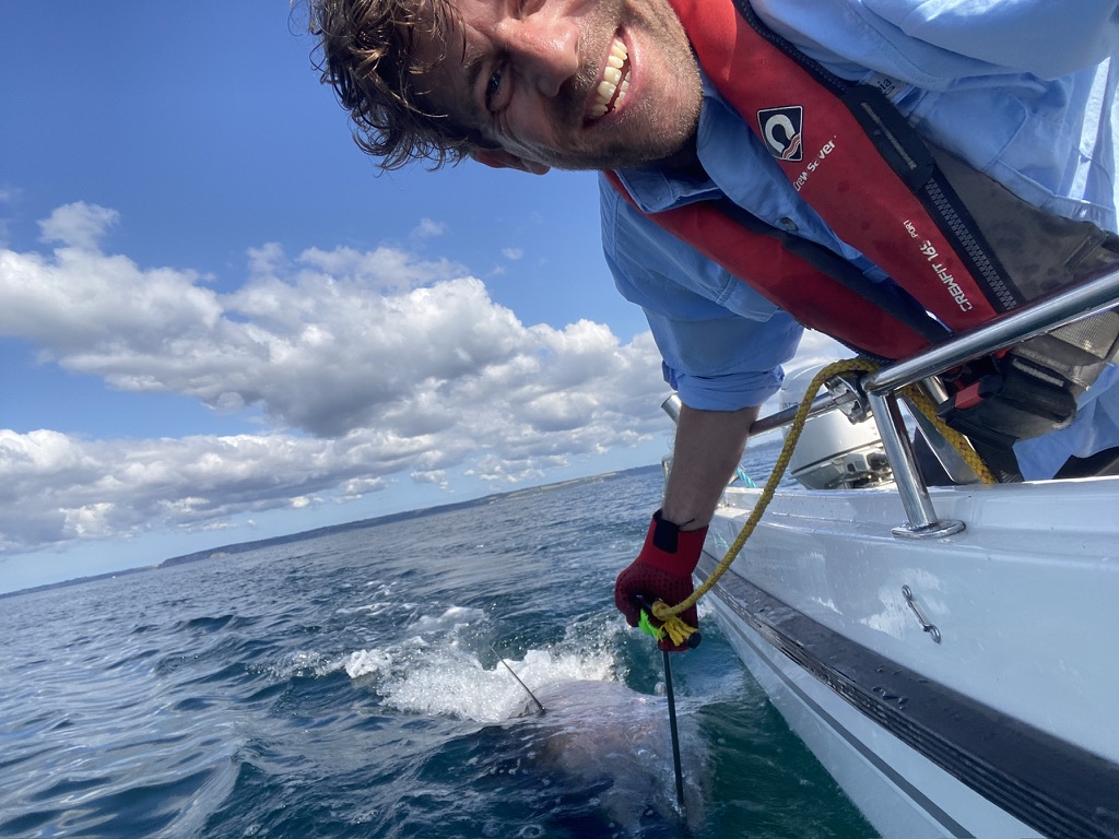 Blue Fin Tuna Fishing with The School of Fish
