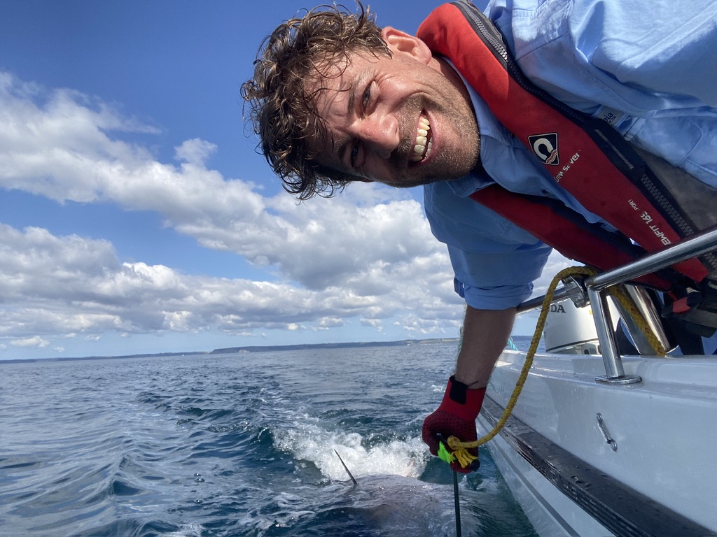 Blue Fin Tuna Fishing with The School Of Fish