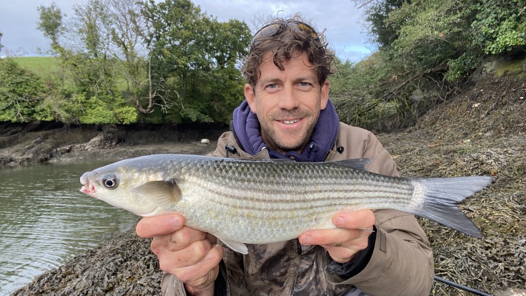 Mullet fishing with The School of Fish