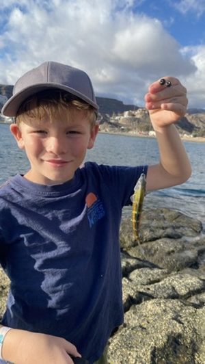 October sunshine, but not much else…