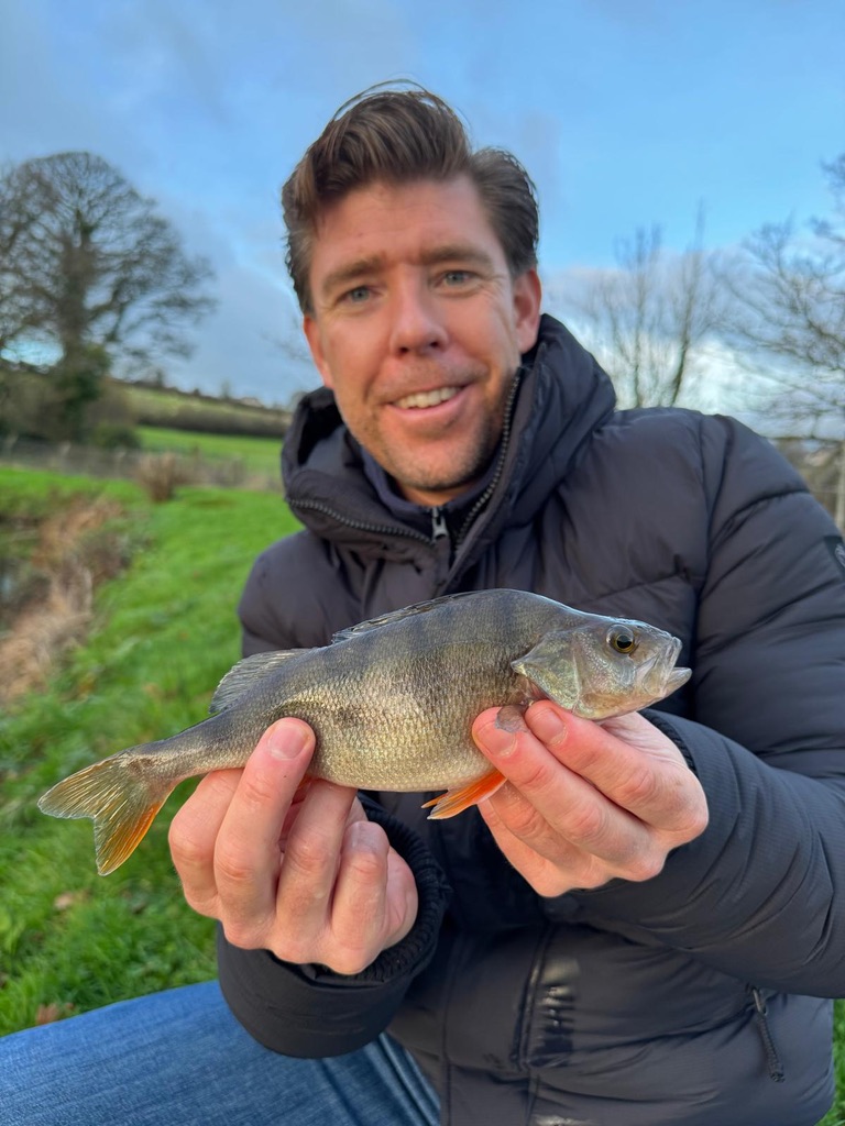 Catching Perch with friends at The School of Fish