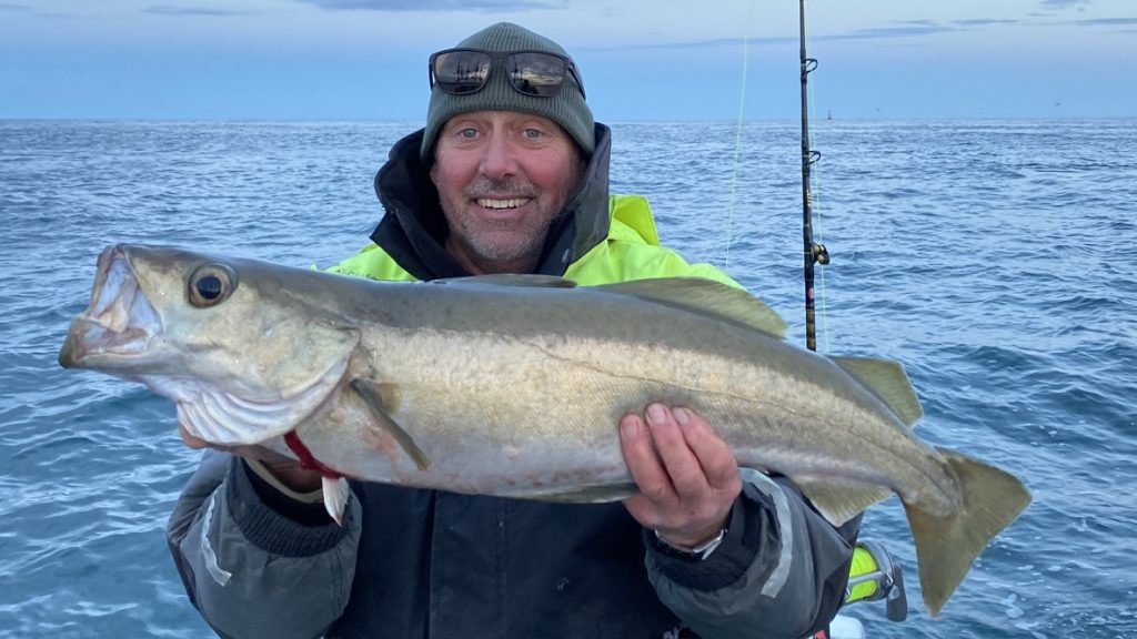 Pollack fishing with The School of Fish