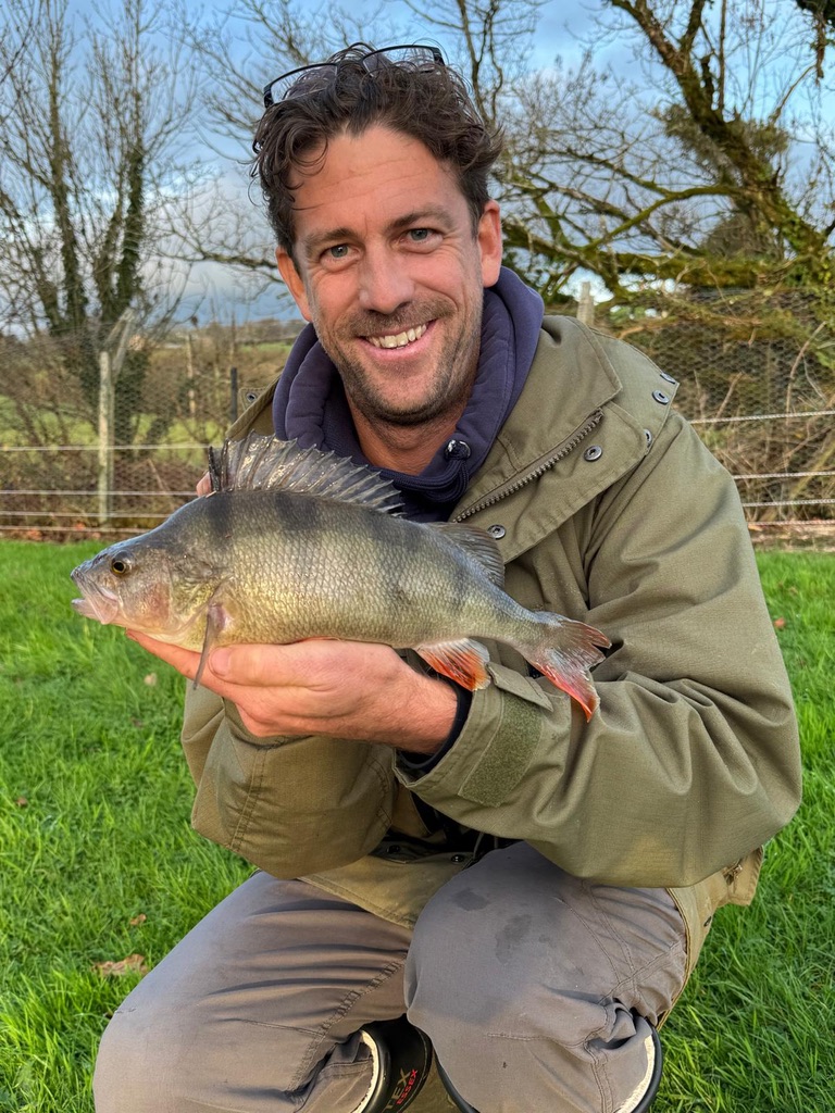 Perch fishing with The School of Fish