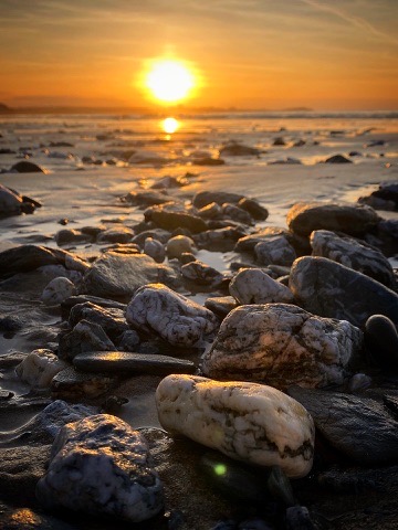 Sunset on 2025 with The School of Fish