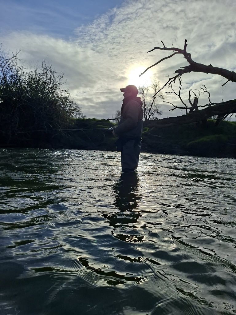 Grayling Fishing with The School of Fish