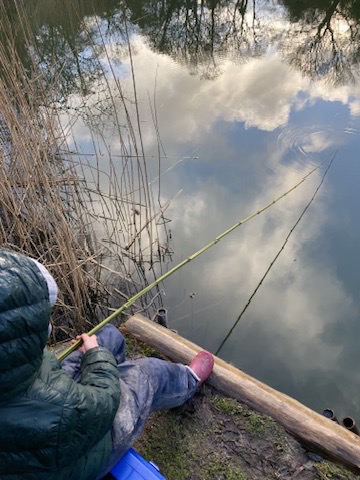 Bamboo fishing rods with The School of Fish