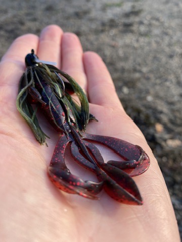 Creature Bait lures with The School of Fish