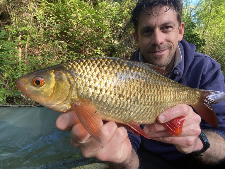 Rudd fishing with The School of Fish