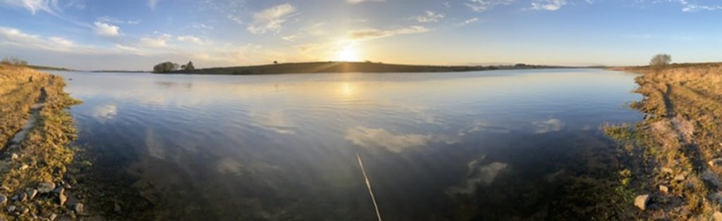 Trout fishing with The School of Fish