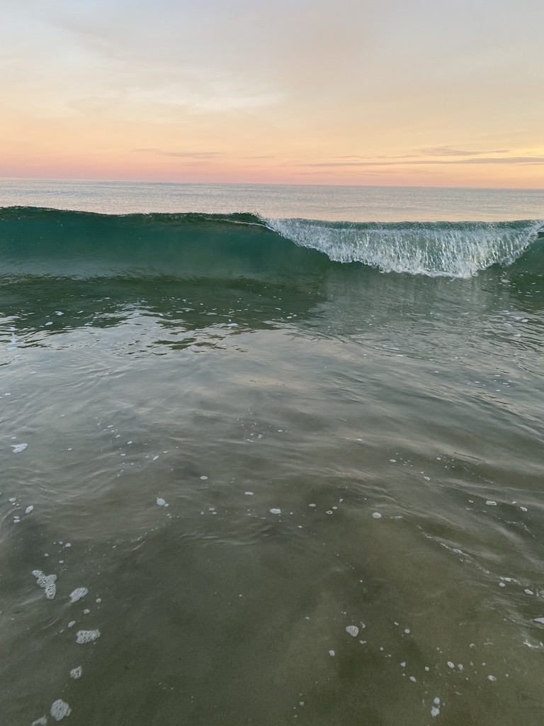 Bass fishing in the surf with The School of Fish