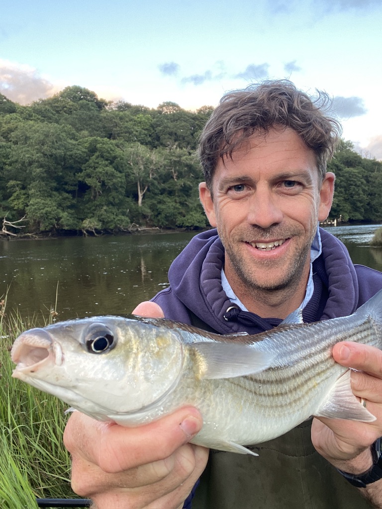 Mullet fishing with The School of Fish