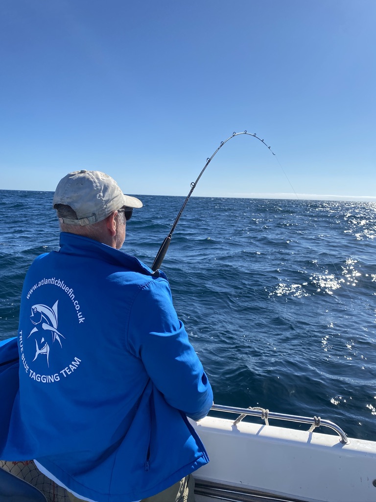 Shark fishing with The School of Fish