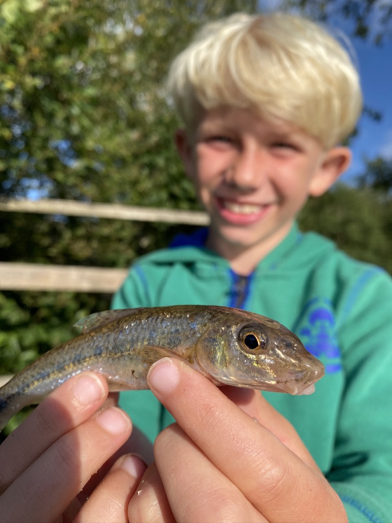 First fish with The School of Fish