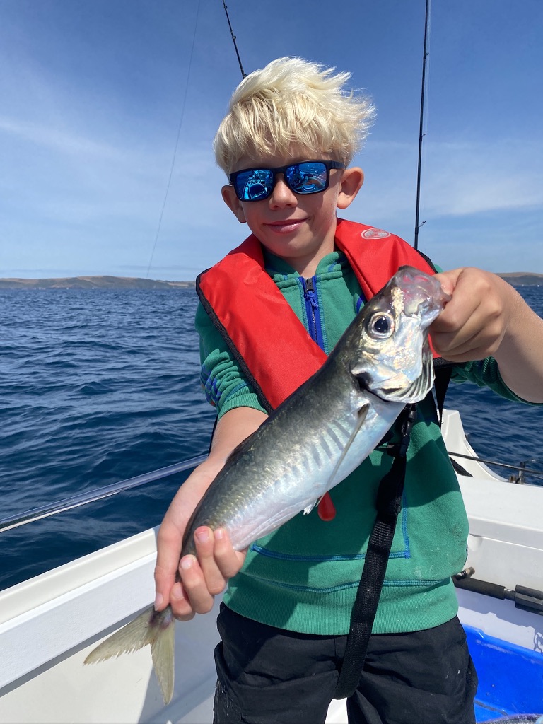 Scad fishing with The School of Fish