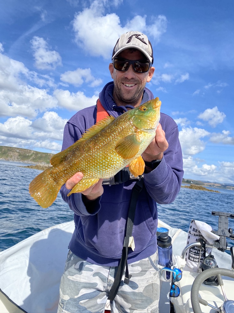 Wrasse fishing with The School of Fish